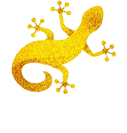 Brasserie Oliveri